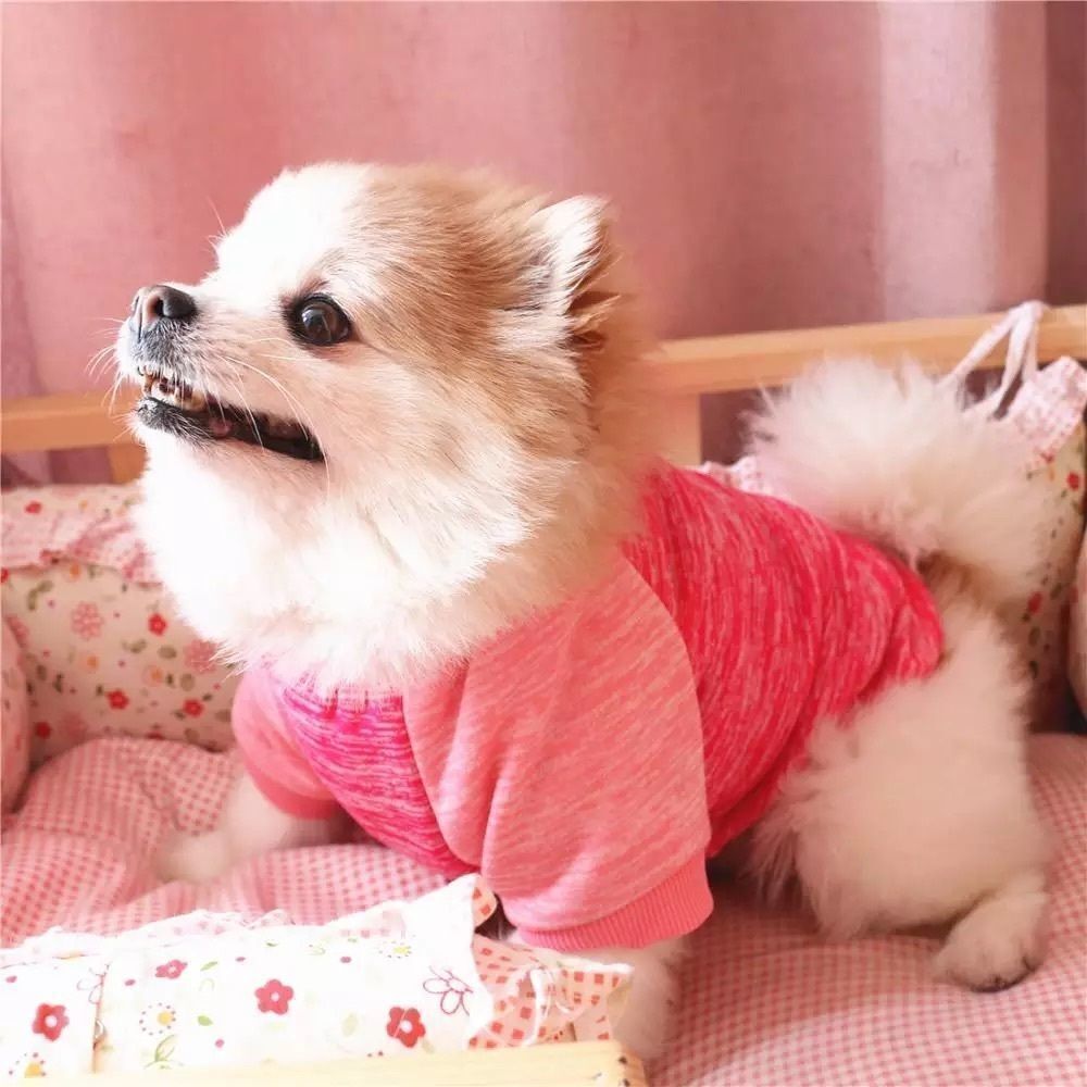 💖MOST FAV💖 Warm Hug Me Pet Clothes - Picture 10 of 11